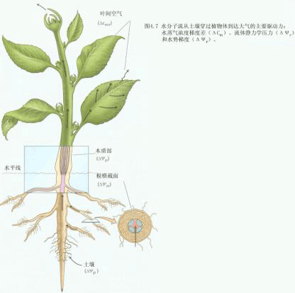 大氣水勢