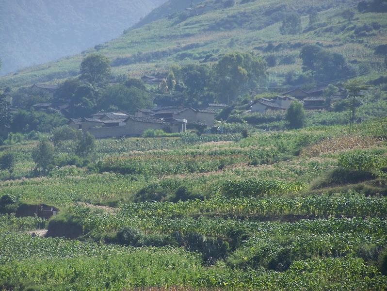 武定縣田心鄉火嘎村委會