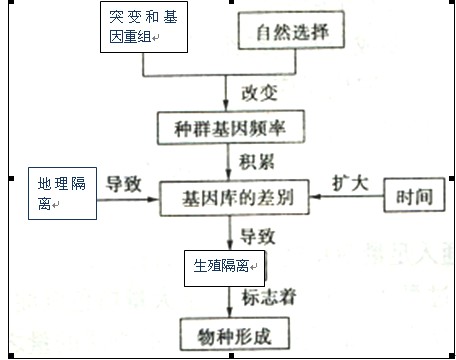 現代達爾文主義