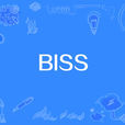 BISS(網路用語)