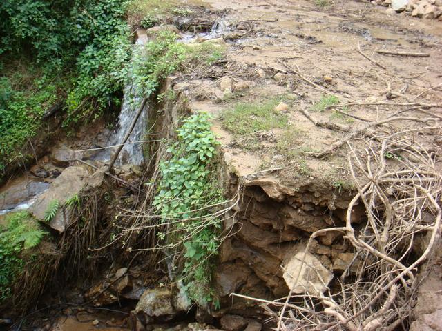 茶園自然村(雲南省臨翔區邦東鄉下轄村)