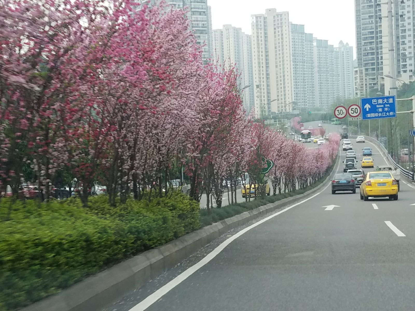 渝南分流道