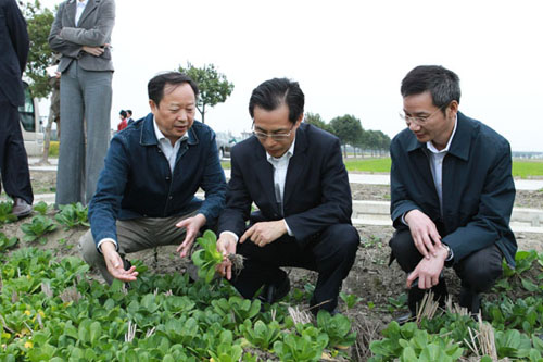 區長俞太尉調研“三秋”工作