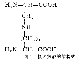 賴丙氨酸的結構式