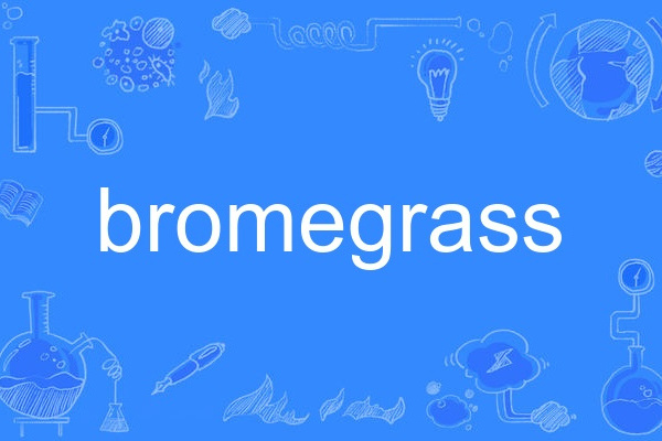 bromegrass