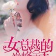 女總裁的巔峰高手(裙擺的誘惑著網路小說)