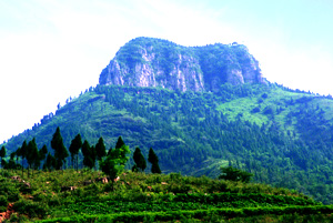 山亭區(棗莊市山亭區)