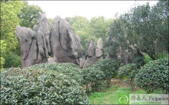 神龍公園