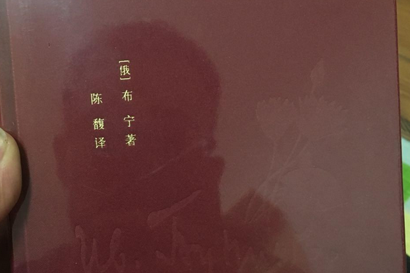 北方的白樺樹