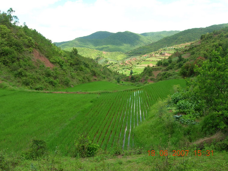 草打拉村