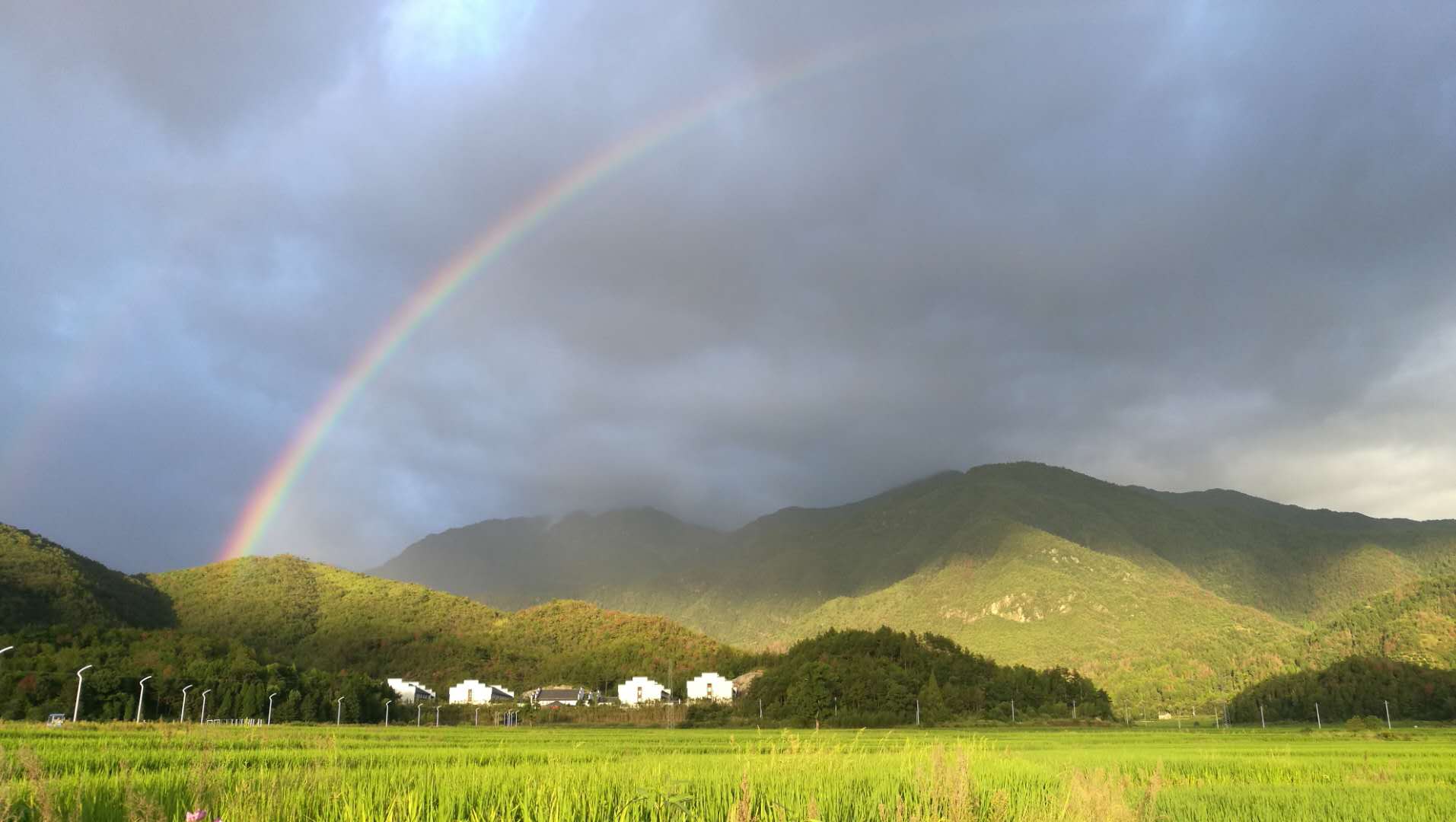 雙廟鄉(浙江省仙居縣下轄鄉)