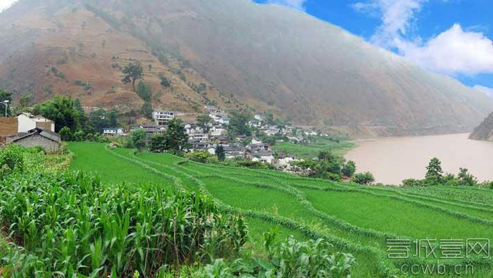 坡腳村(雲南保山隆陽區瓦窯鎮坡腳村)