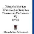 Homelies Sur Les Evangiles de Tous Les Dimanches de Lannee V2