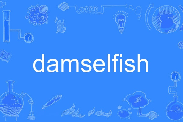 damselfish