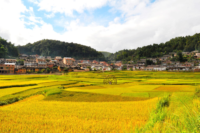 馬灑村