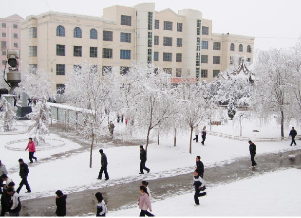 雪景