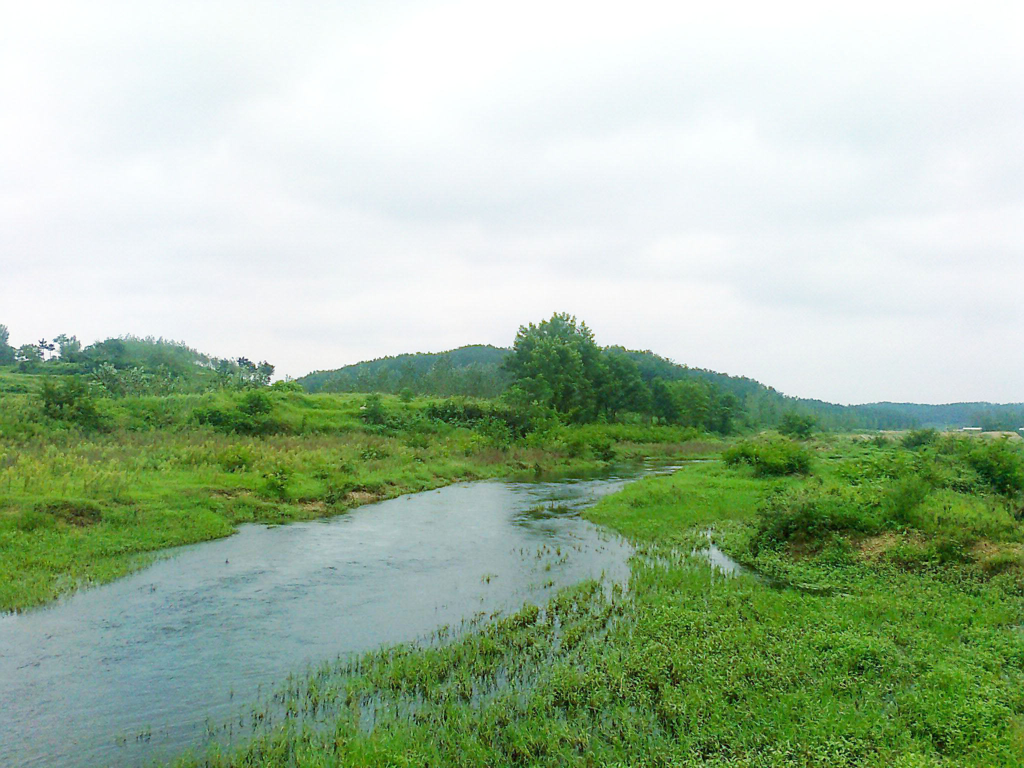 白露河