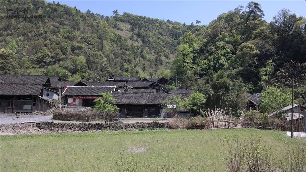 長坪村(雲南省曲靖市富源縣大河鎮長坪村)