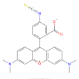 四甲基羅丹明-5-異硫氰酸酯