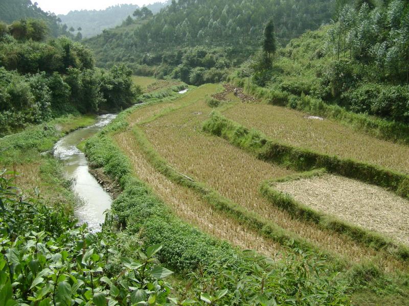 村中田園