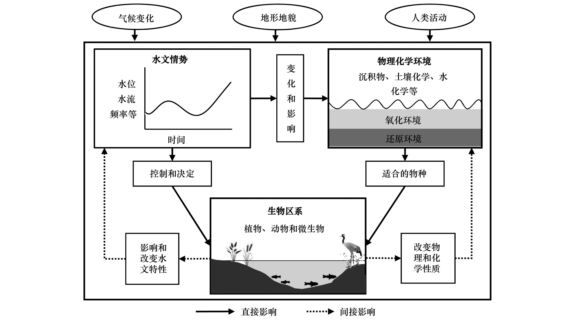 濕地生態水文模型