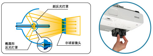 E-TORL燈泡