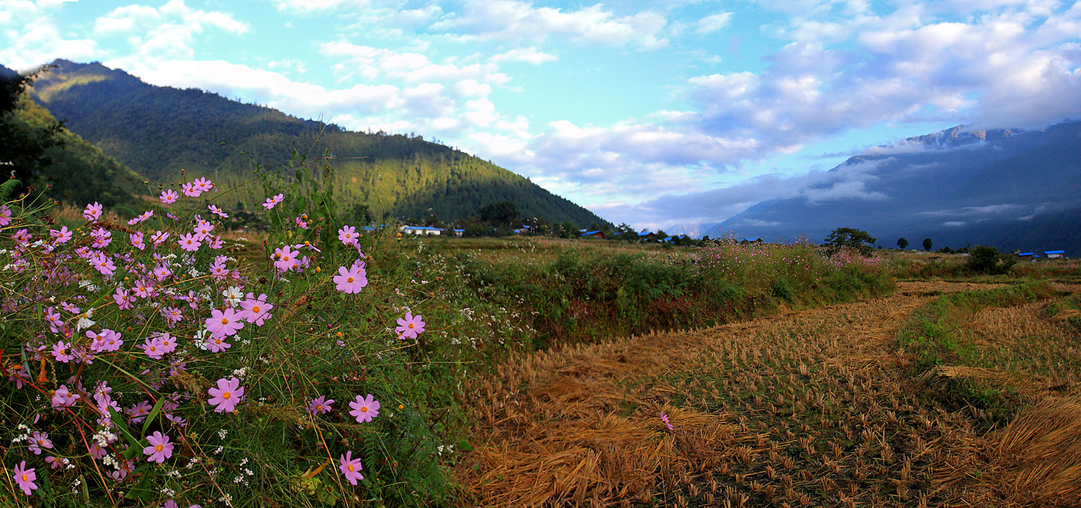 沙瓊村