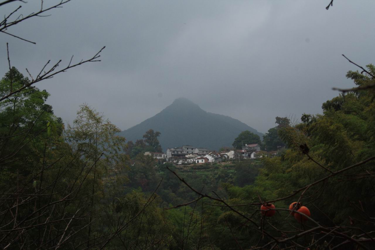 東坪村(雲南巧家縣下轄村)