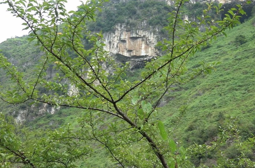 龍洞女神山