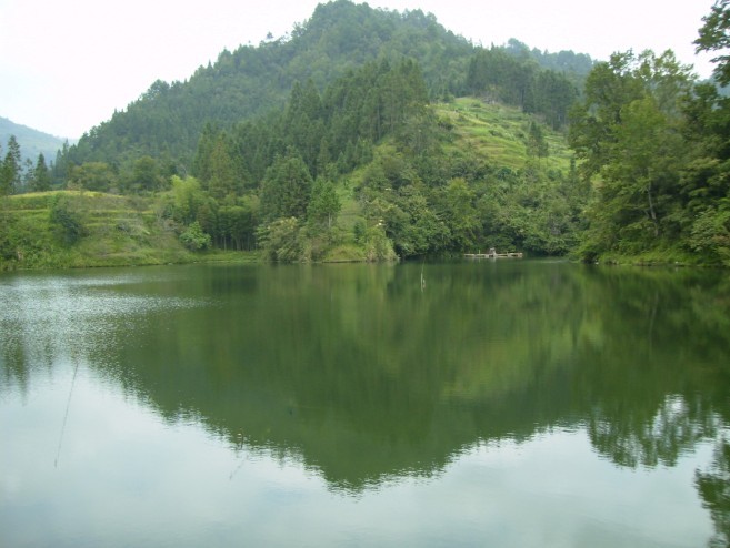 龍塘村(廣東省徐聞縣龍塘鎮龍塘村)