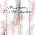 A Walk Among Blue Slate Markers(2004年Iuniverse Inc出版的圖書)