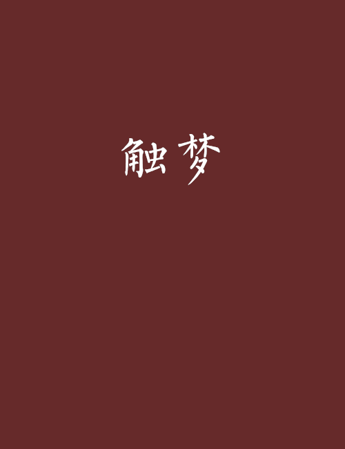 觸夢(小說)