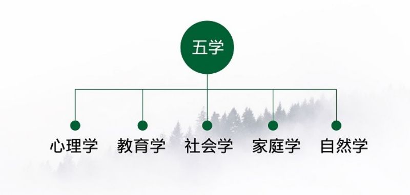 鄭州一座森林科技有限公司