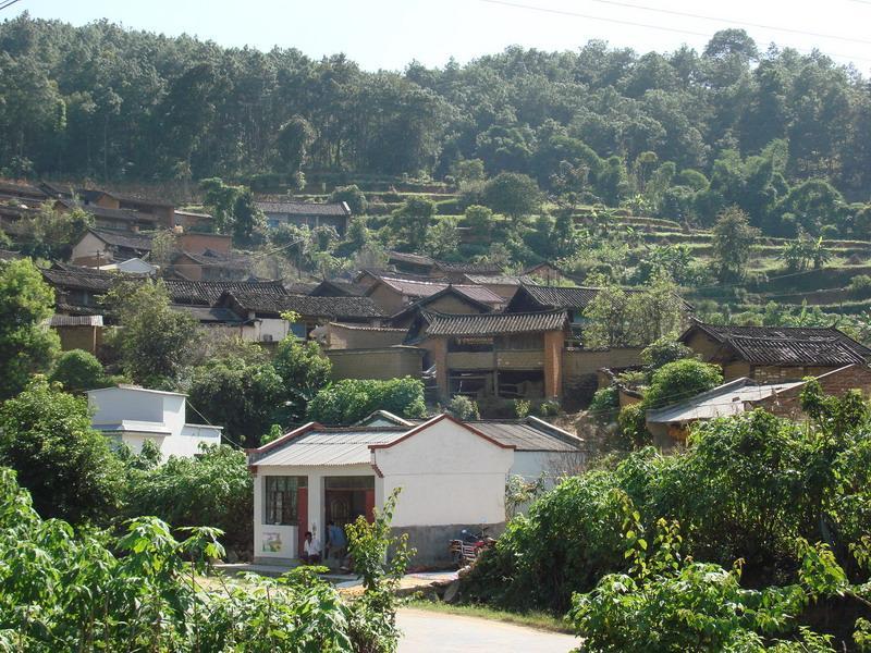 桐子園自然村(雲南雲縣曉街鄉下轄村)