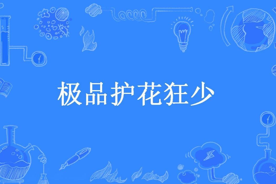 極品護花狂少(雲中破曉所著小說)