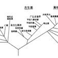 非細胞生物