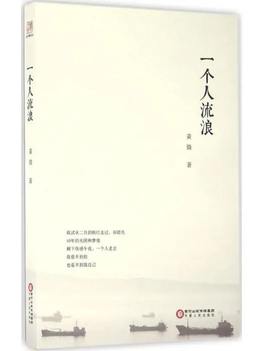 一個人流浪(2016年4月1日寧夏人民出版社出版的圖書)