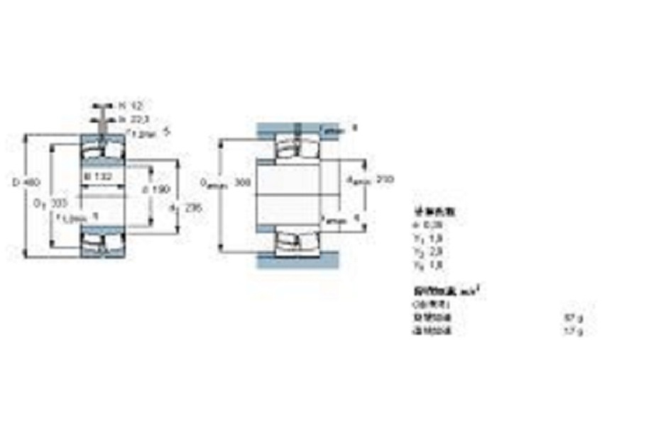 SKF 22338CCJA-W33VA406軸承