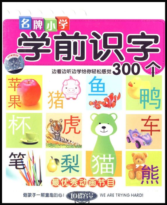 學前識字300個(5VCD)