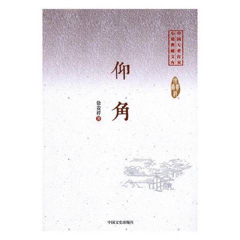 仰角(2017年中國文史出版社出版的圖書)