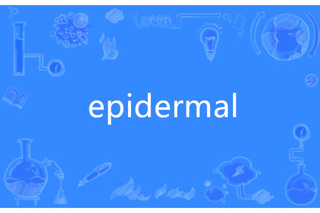 epidermal