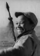 雞毛信(1953年石揮執導電影)