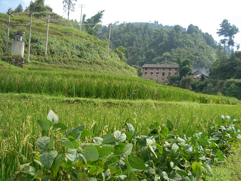 掛山坡自然村