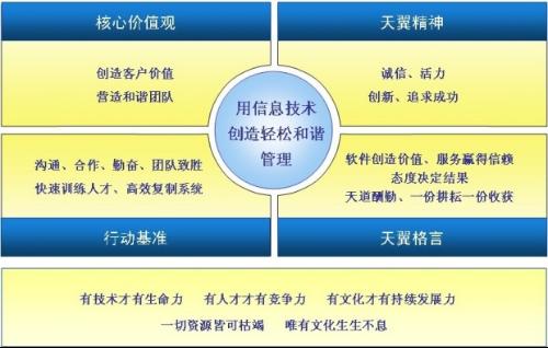 大連天翼信息科技有限公司