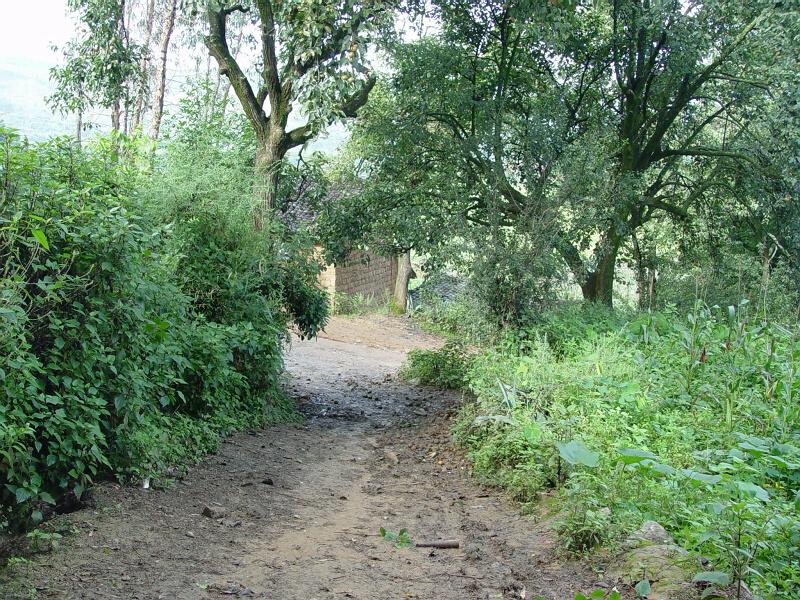 三條溝村村內道路