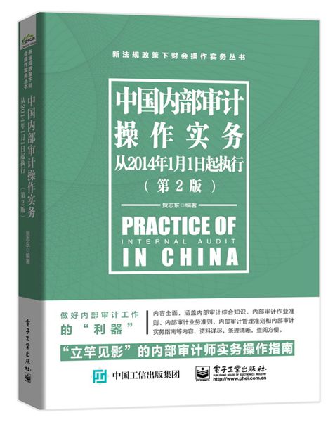 中國內部審計操作實務（從2014年1月1日起執行）（第2版）