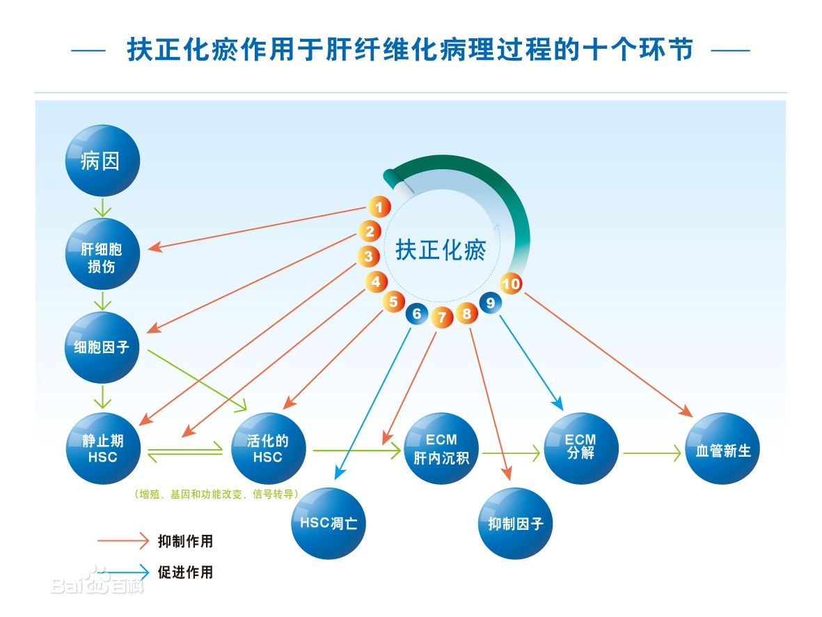 扶正化瘀