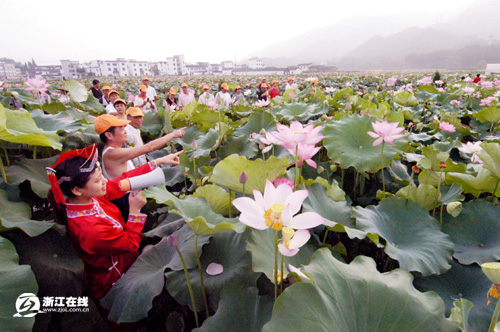 遊客在“太空宣蓮”物種園賞花品蓮