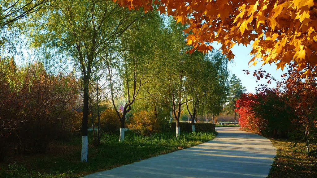 德惠市植物公園