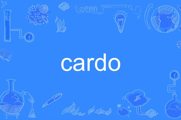 cardo(英語單詞)